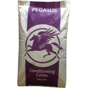 Pegasus Conditioning Cubes - 20 kg - Chestnut Mill