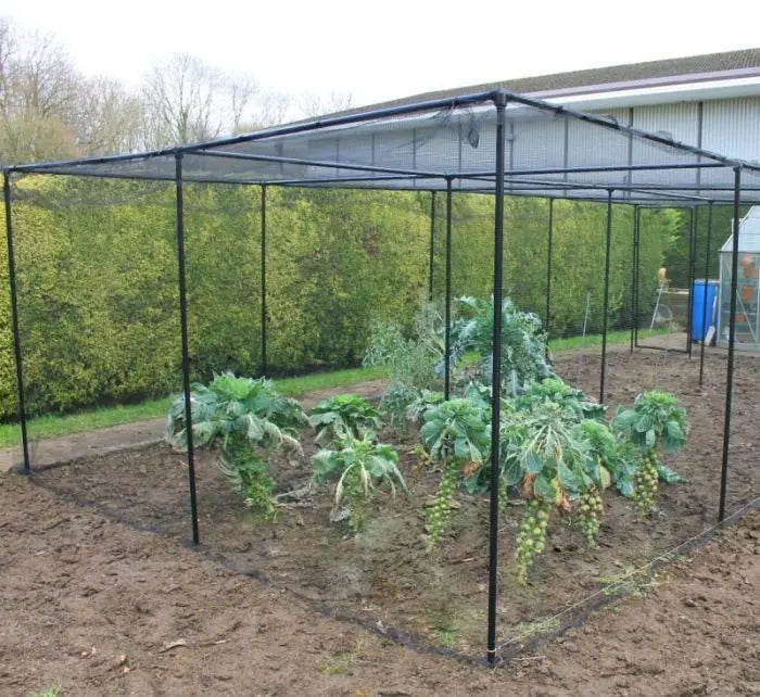 Premium Fruit Cage Height 1.9m - Black Bird Netting/Fruit Netting - Various Sizes - Chestnut Mill