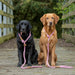 Ruff & Tumble Dog Clip Lead - Various Colours - SUMMER SPECIAL OFFER - UPTO 21% OFF - Chestnut Mill