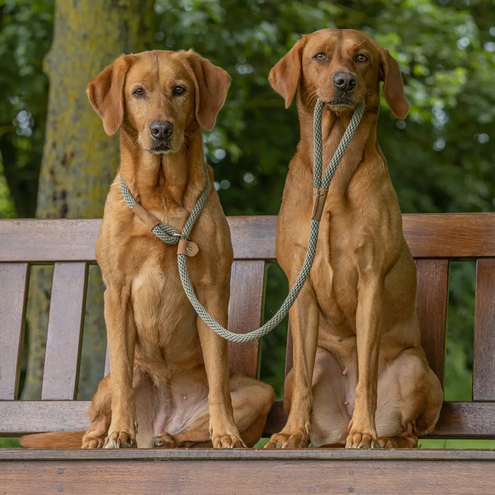 Ruff & Tumble Dog Clip Lead - Various Colours - SUMMER SPECIAL OFFER - UPTO 21% OFF - Chestnut Mill