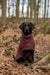 Ruff & Tumble Dog Drying Coat - Country Collection - SUMMER SPECIAL OFFER - UPTO 20% OFF - Chestnut Mill