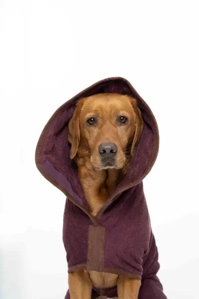 Ruff & Tumble Dog Drying Coat - Country Collection - SUMMER SPECIAL OFFER - UPTO 20% OFF - Chestnut Mill