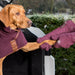 Ruff & Tumble Dog Drying Mitts for Legs & Paws - SUMMER SPECIAL OFFER - 8% OFF - Chestnut Mill