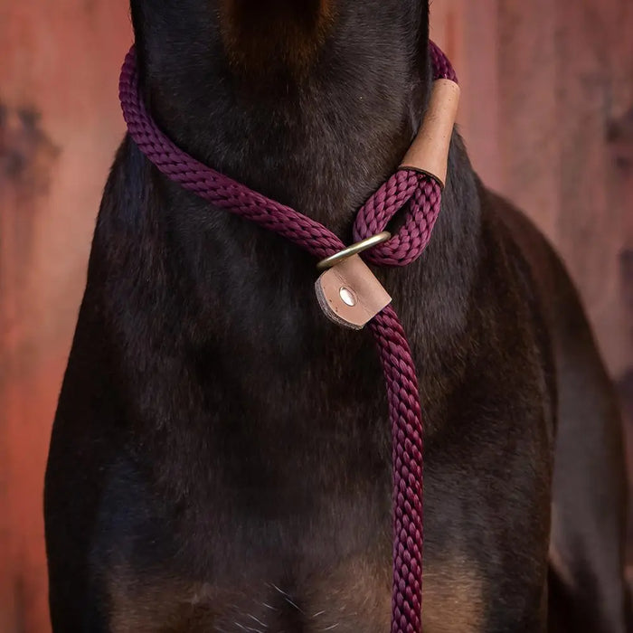 Ruff & Tumble Dog Slip Lead - Various Colours  - SUMMER SPECIAL OFFER - UPTO 21% OFF - Chestnut Mill