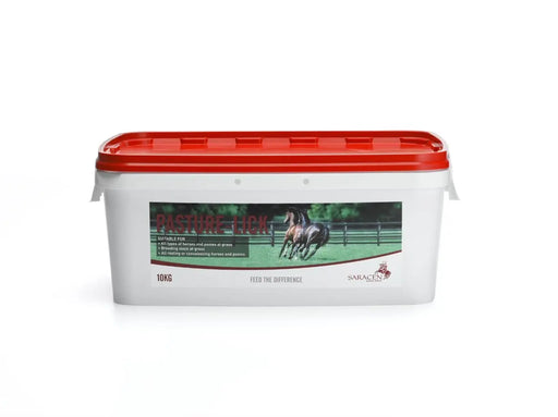 Saracen Pasture Horse Mineral Lick - 10 kg - Chestnut Mill