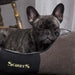 Scruffs Chester Box Dog Bed Grey - Various Sizes - Chestnut Mill