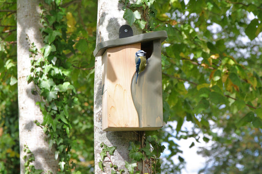 Simon King Curve, Cavity Nest Box - Chestnut Mill