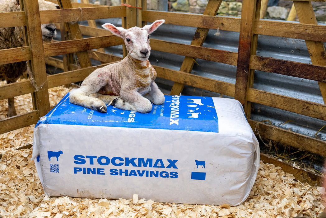 Stockmax Pine Shavings Animal Bedding - 20kg Bedmax