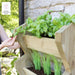 TALL VERTICAL HERB STAND - Chestnut Mill