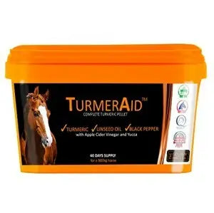 The Golden Paste Co TurmerAid  - 2 kg - Chestnut Mill