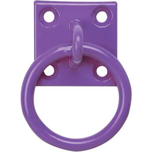 Tie Ring On Plate Purple x10 - Chestnut Mill