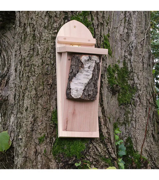 Tree Creeper Nest Box - Chestnut Mill