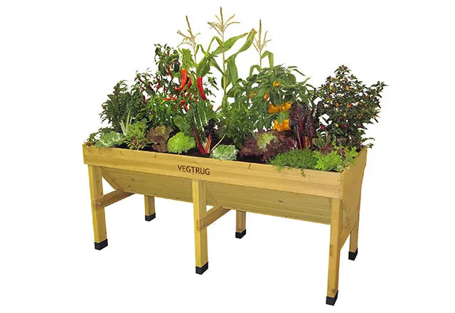 VegTrug Medium - Natural (FSC 100%) - Chestnut Mill