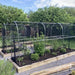 Domed Walk In Fruit/Vegetable Cage - 1.2m wide x 1.88m Height - Various Lengths and Netting - Chestnut Mill