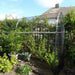 Domed Walk In Fruit/Vegetable Cage - 1.2m wide x 1.88m Height - Various Lengths and Netting - Chestnut Mill