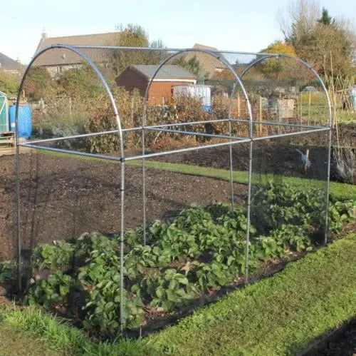 Domed Walk In Fruit/Vegetable Cage - 1.2m wide x 1.88m Height - Various Lengths and Netting - Chestnut Mill