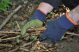 WARM 'N' WATERPROOF Gardening Gloves - Mens - Chestnut Mill