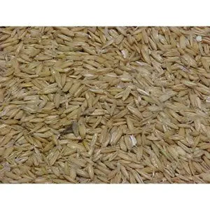 Whole Oats - 20 kg - Chestnut Mill