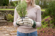 Winnie The Pooh Adult Gardening Gloves - SPECIAL OFFER - EXTRA 38% OFF - Chestnut Mill