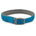 Ancol Viva Padded Buckle Collar Blue - Various Sizes - Chestnut Mill