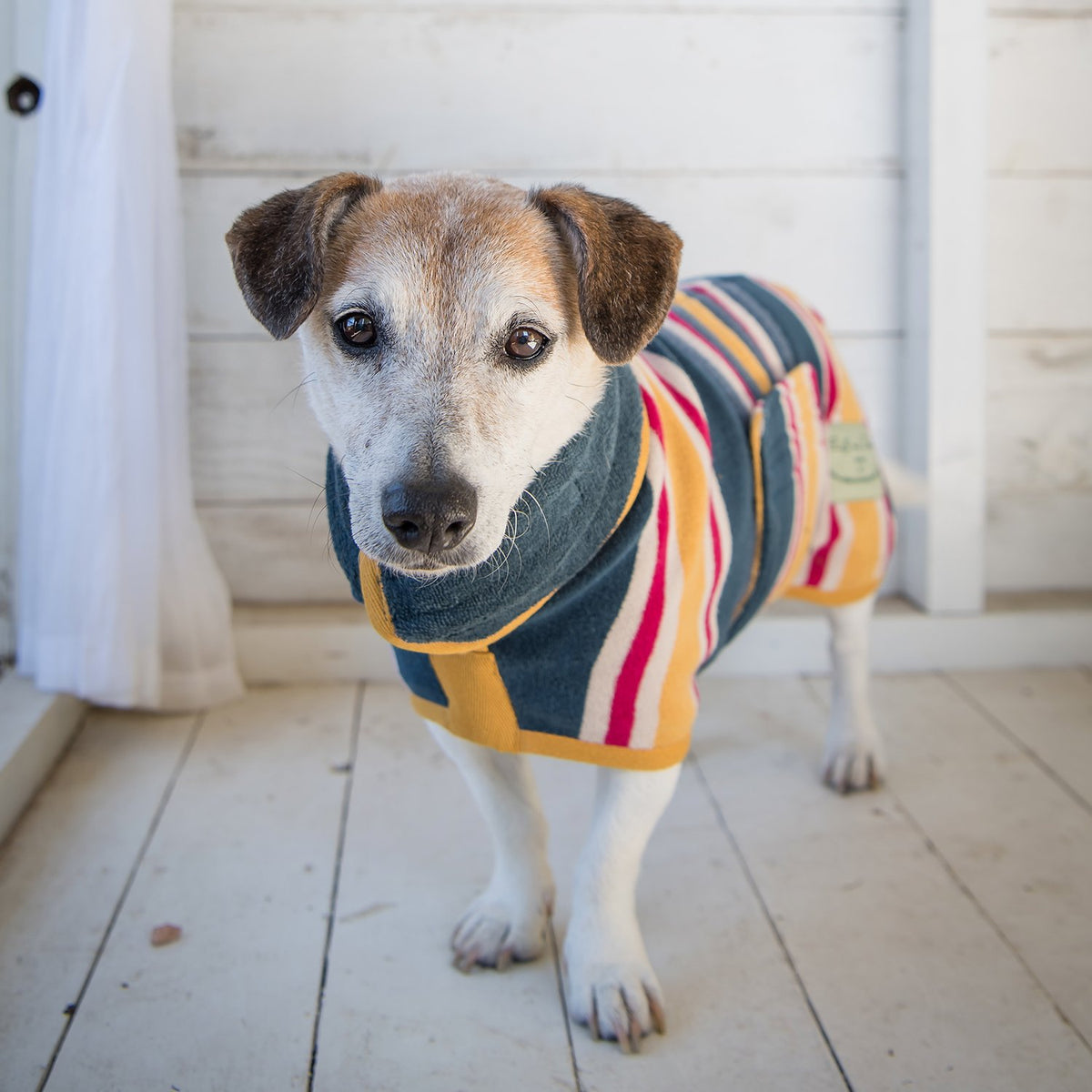 Rough and tumble dog towels sale